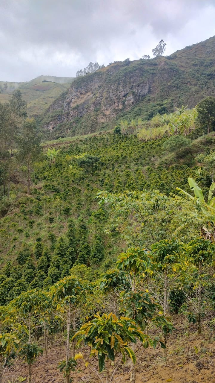 Peru - Elzer García Ticlahuanca