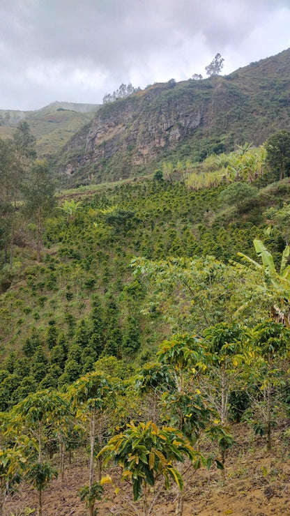 Peru - Elzer García Ticlahuanca