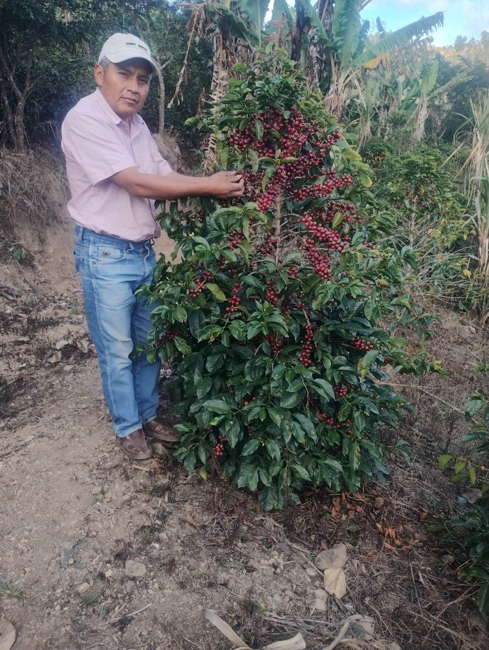 Peru - Elzer García Ticlahuanca