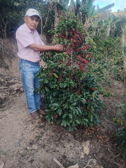Peru - Elzer García Ticlahuanca