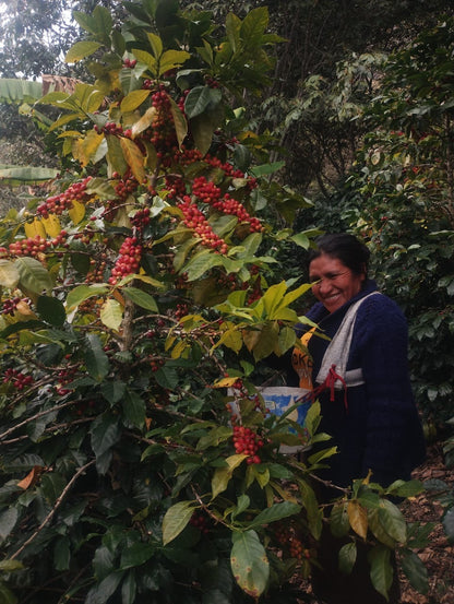 Peru - Elzer García Ticlahuanca