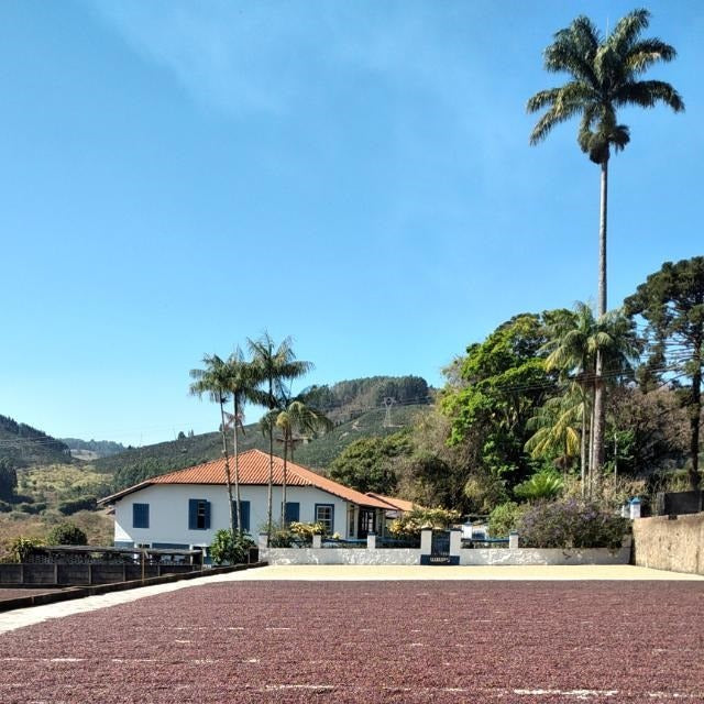 Facility Blend