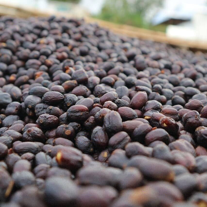 Ethiopia - Ture Waji Anoxic Natural