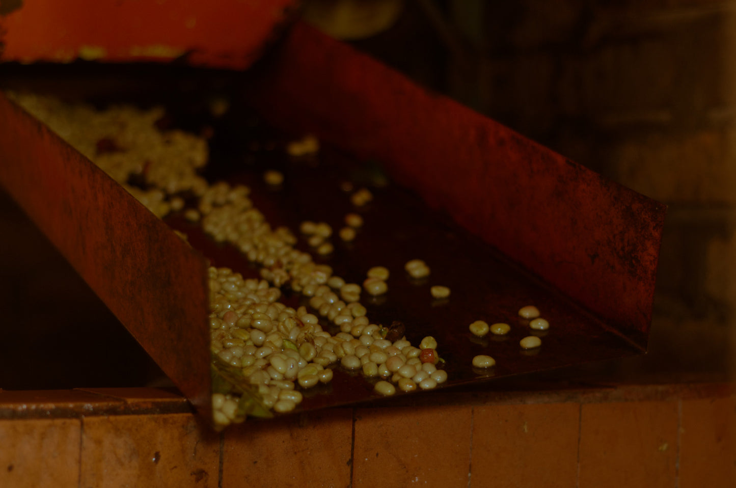 Colombia - Yoiner Mosquera's Rosado