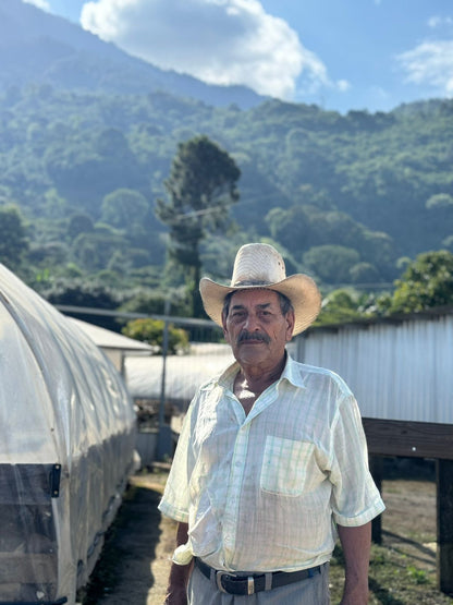 Honduras - Pedro Moreno's Gesha