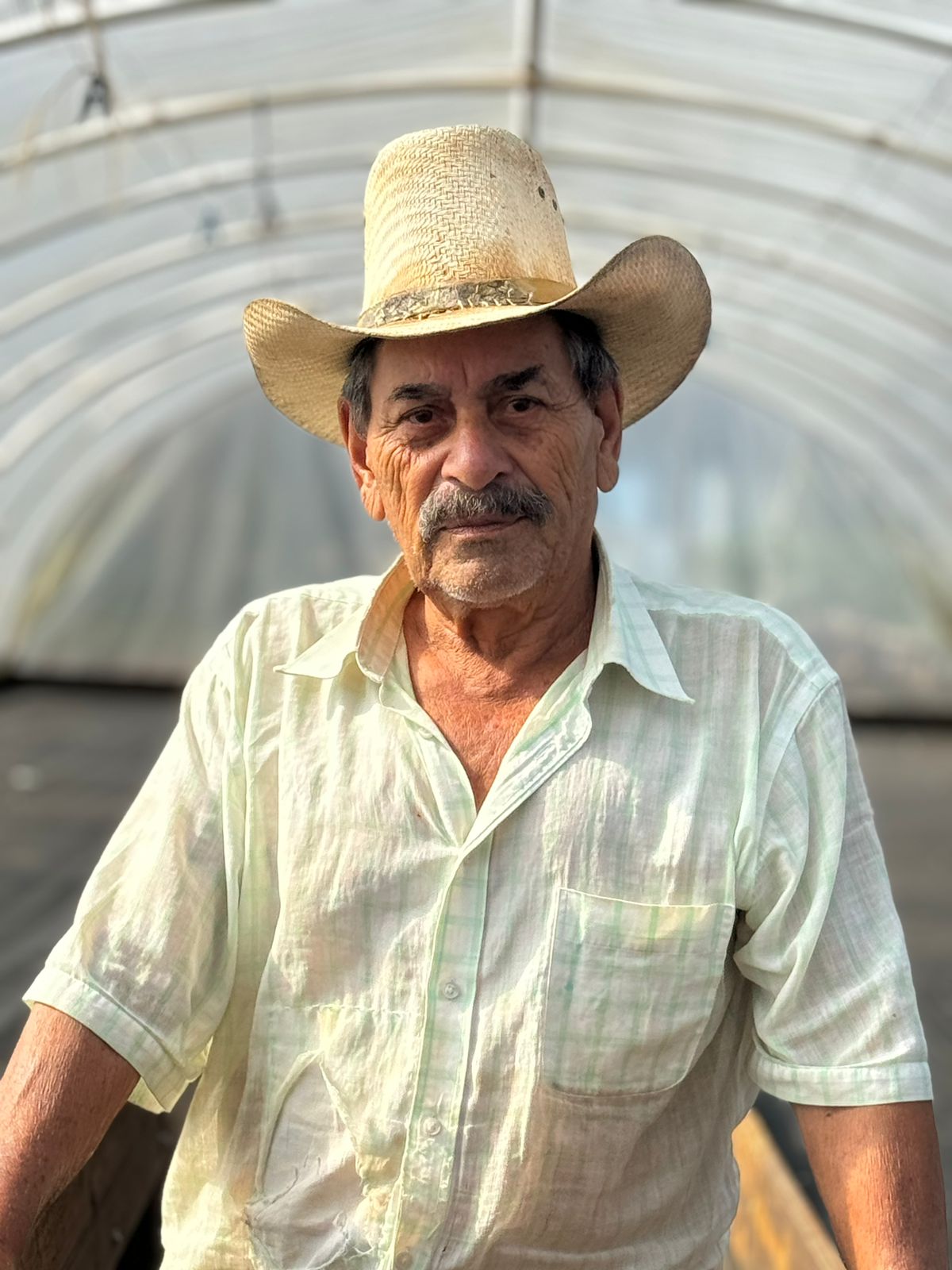 Honduras - Pedro Moreno's Gesha