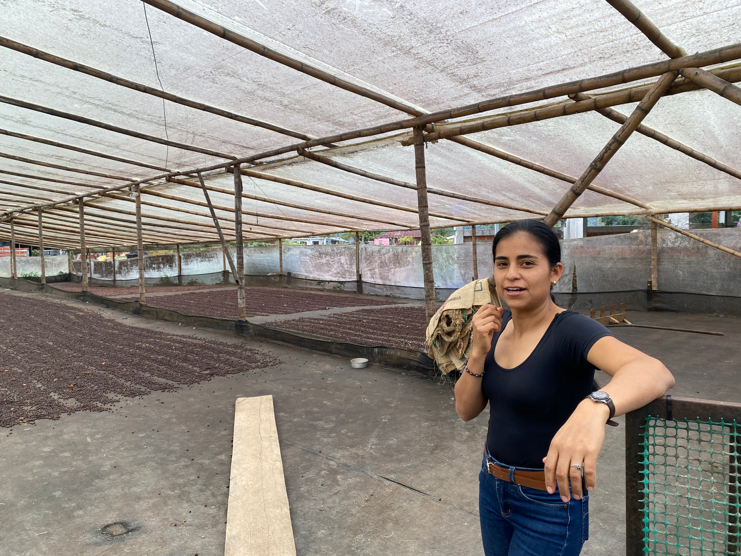 Colombia - Yulieth Mora's Ombligon [Fly Crop]