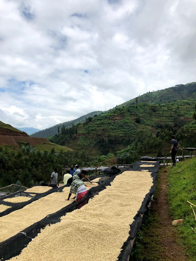 Rwanda - Shyira Honey [25/26]