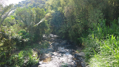 Ecuador - El Rocío Sidra