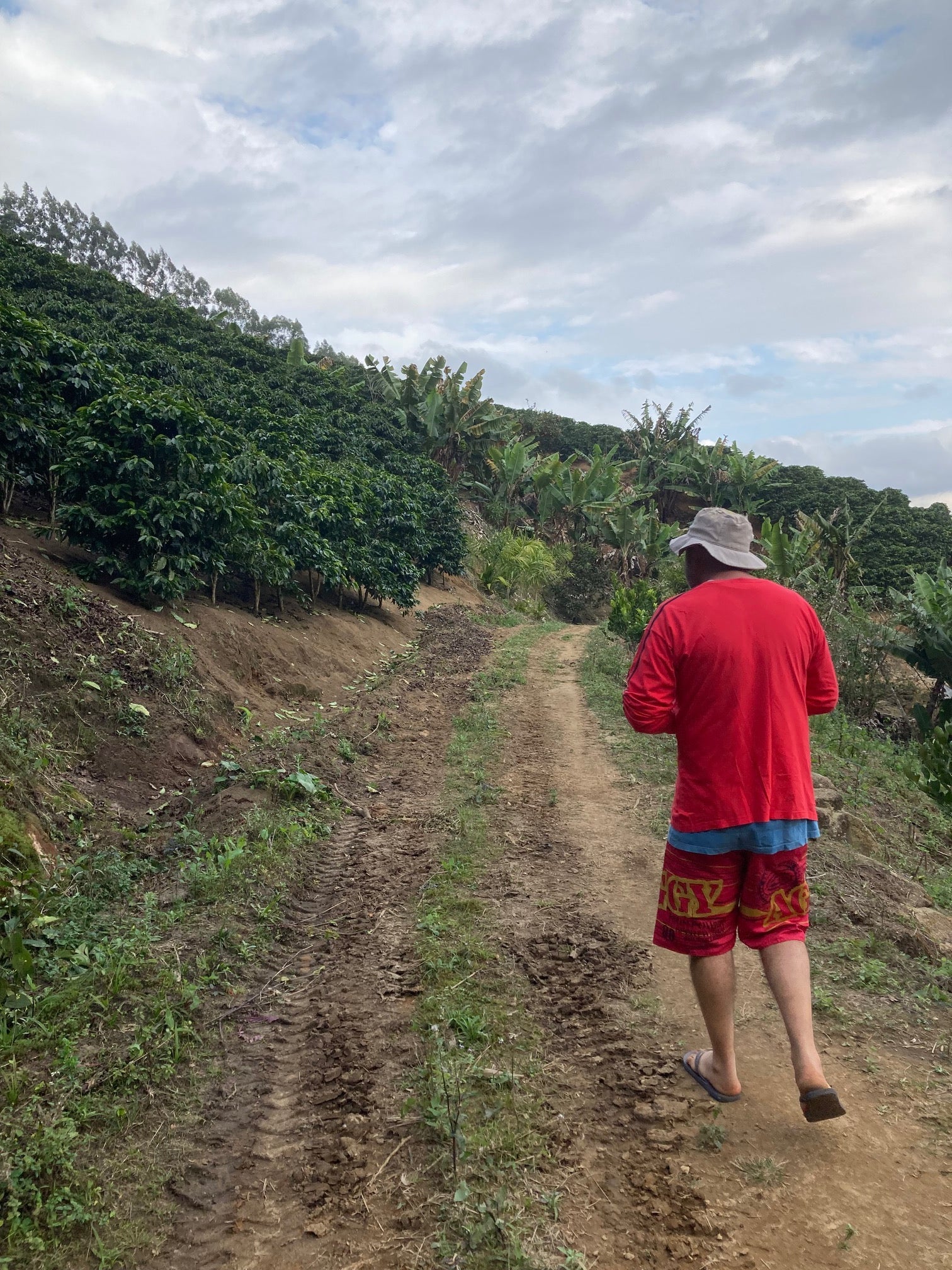 Gilcimar walking on his farm - Photo credit Stuart Ritson / Osito Coffee
