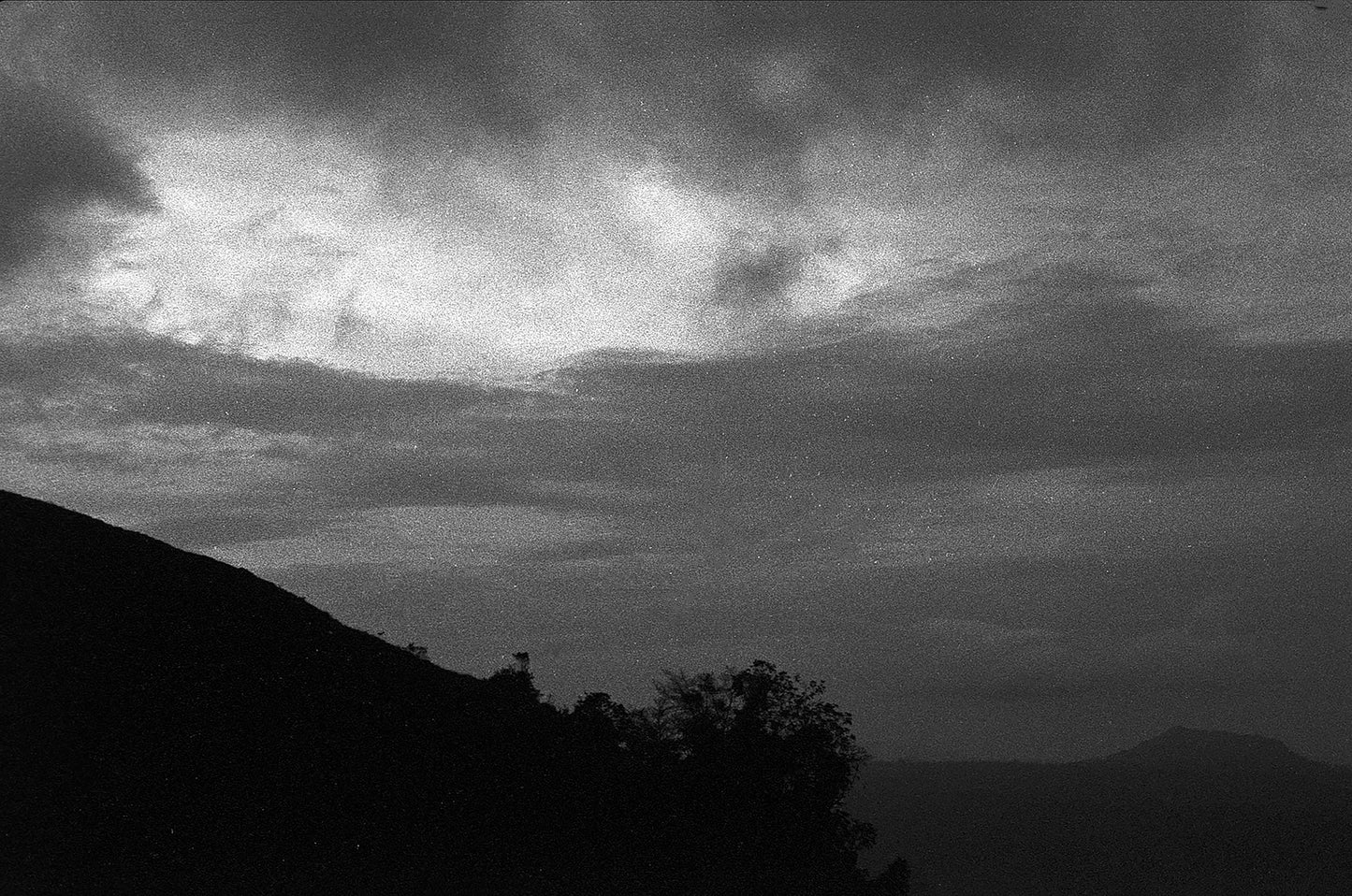 Colombia - Herbert Peñaloza's 575 Gesha