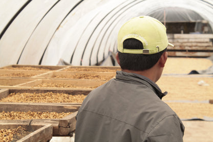 Indonesia - Kerinci Barokah Espresso