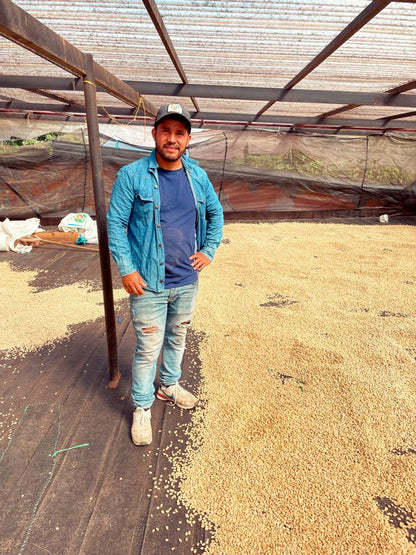 Colombia - Quebraditas SL-28 Advanced Natural