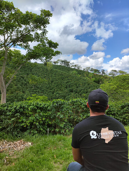 Colombia - Quebraditas SL-28 Advanced Natural