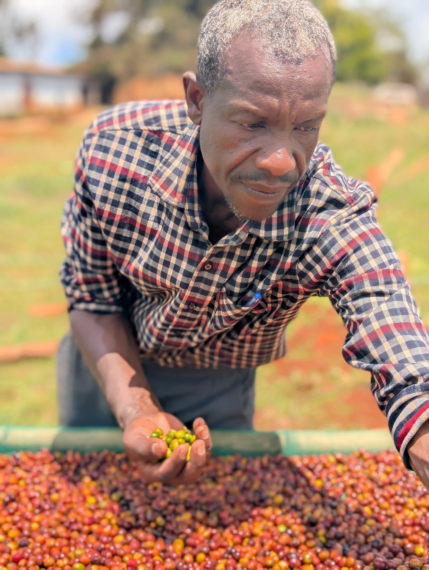 Ethiopia - Megadu "Static Cherry" Anoxic Natural [25/26]