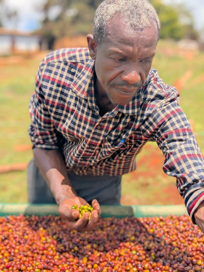 Ethiopia - Megadu "Static Cherry" Anoxic Natural [25/26]