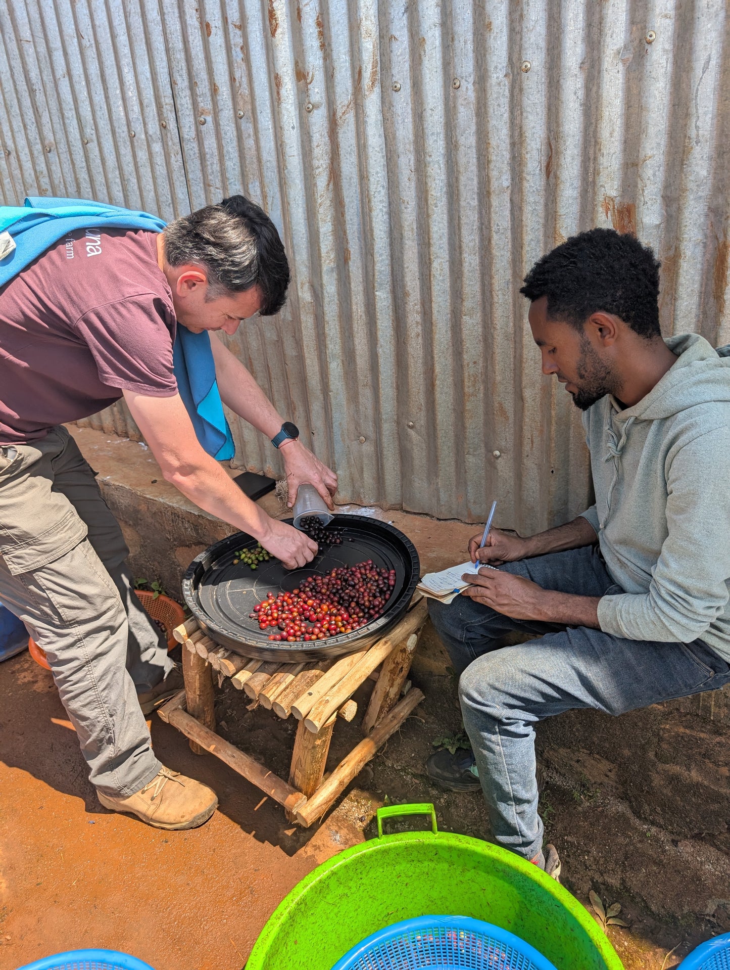 Ethiopia - Megadu Lacto Natural - Lot D [25/26]