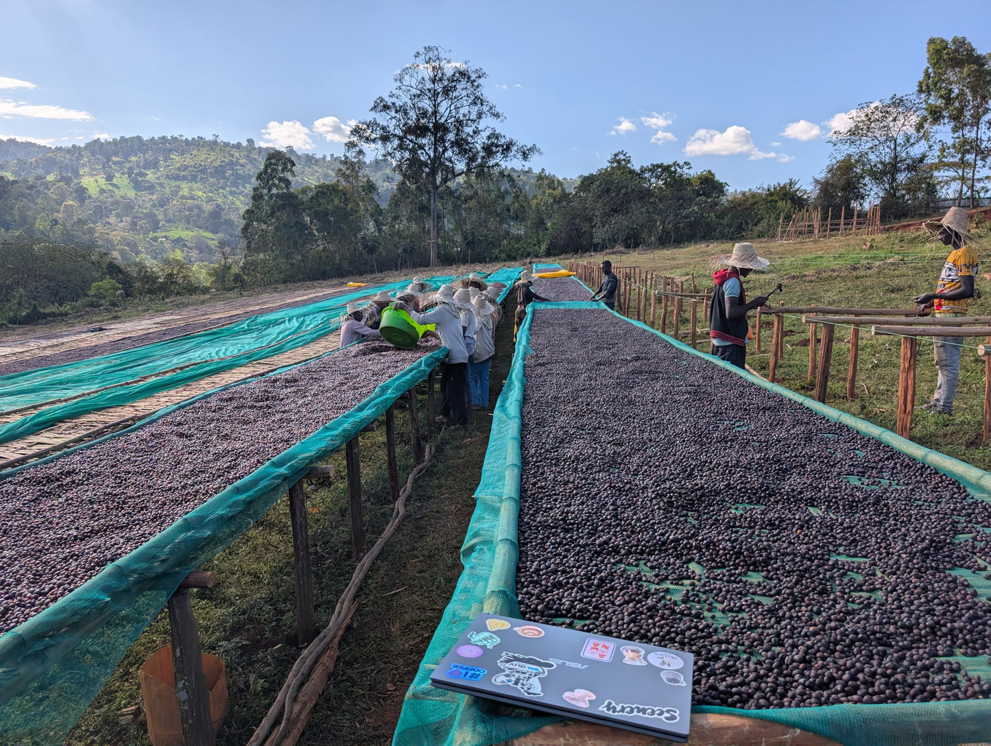 Ethiopia - Megadu "Static Cherry" Anoxic Natural [25/26]