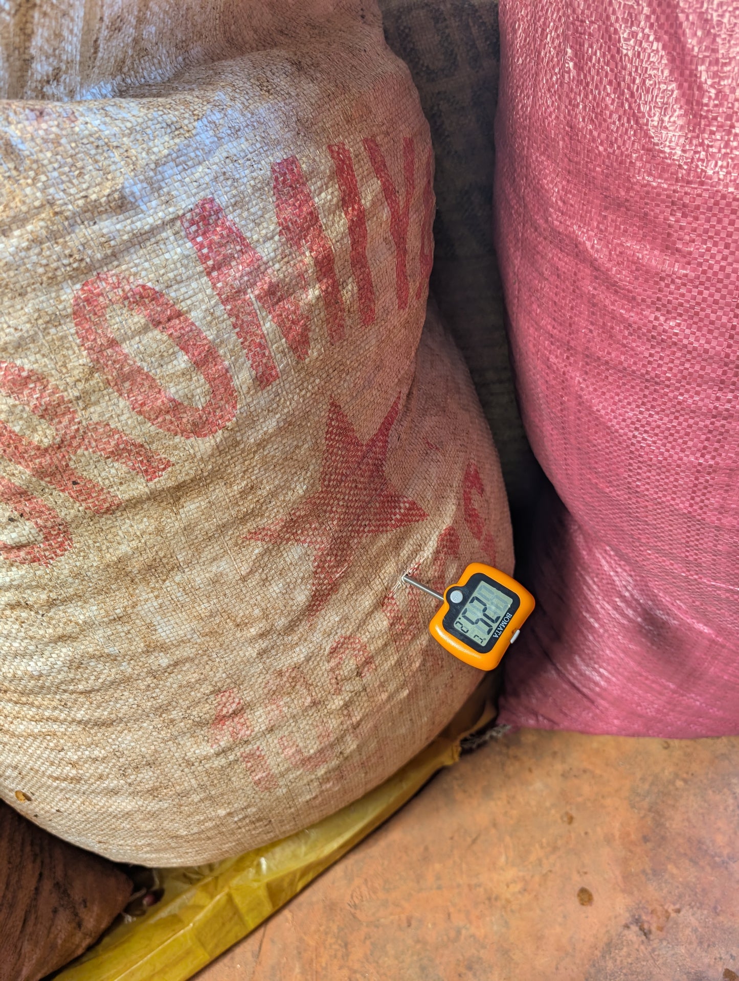 Ethiopia - Megadu "Cherry Ascension" Lot-H Carbonic Macerated Natural