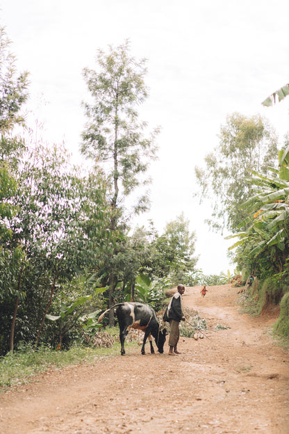 Burundi - Rubirizi Hill FW [Auction Lot]