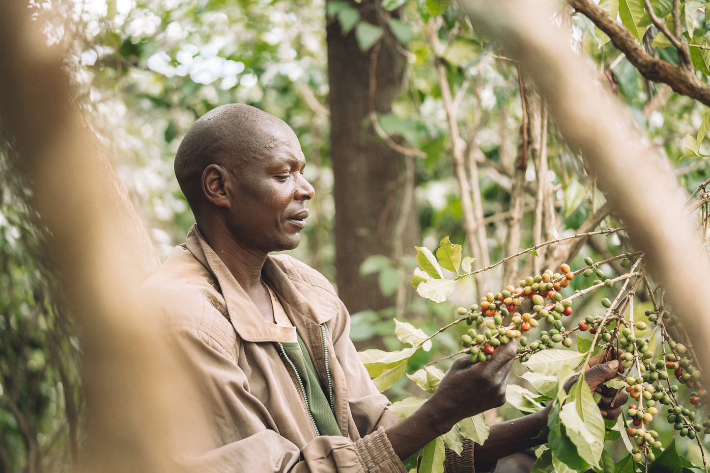 Burundi - Rubirizi Hill FW [Auction Lot]