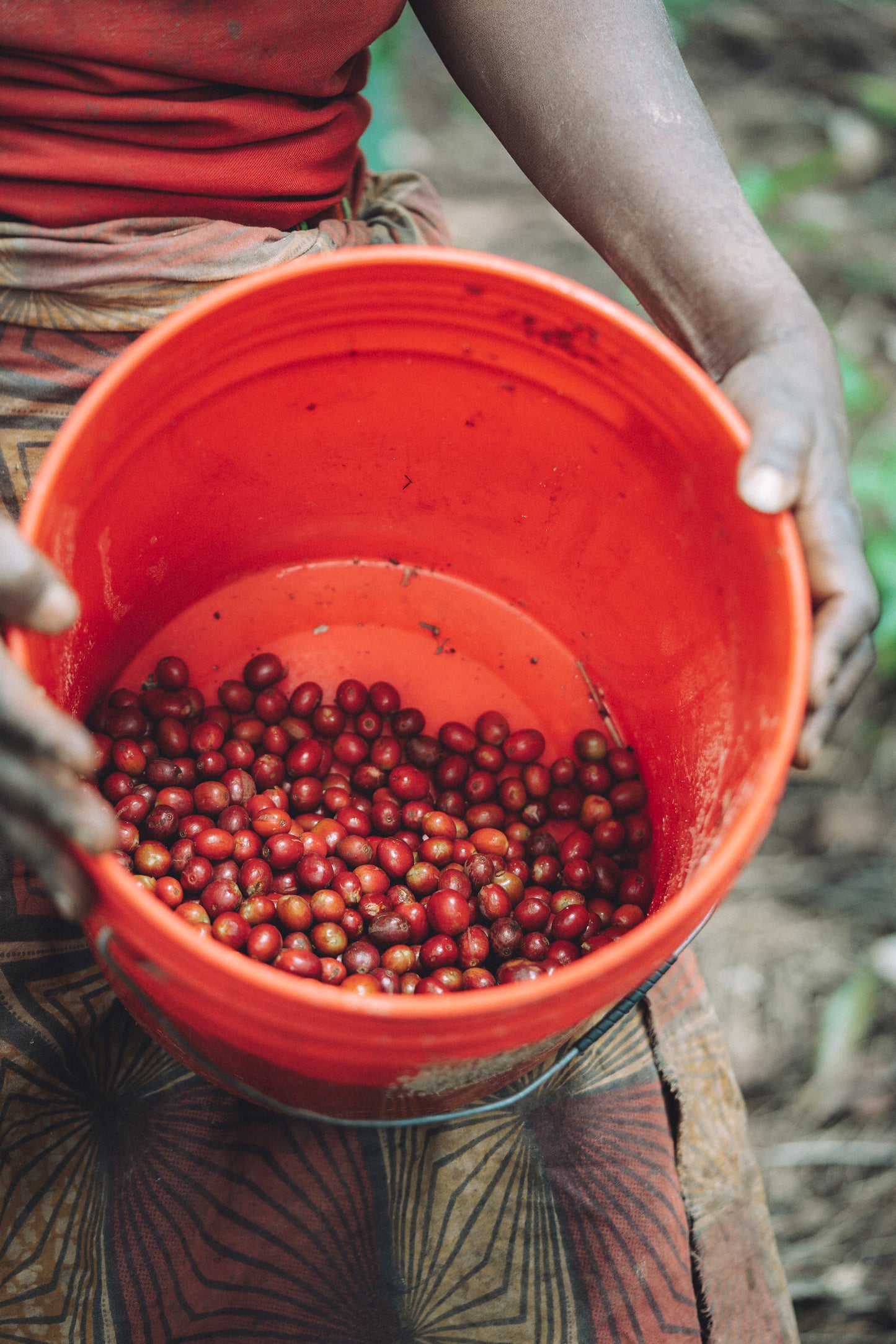 Burundi - Rubirizi Hill FW [Auction Lot]
