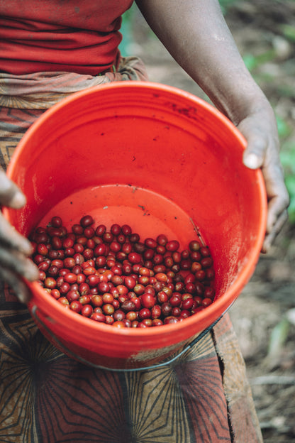 Burundi - Rubirizi Hill FW [Auction Lot]