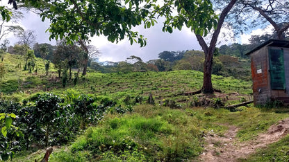 Nicaragua - El Diablo FW