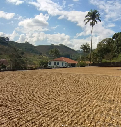 Facility Blend