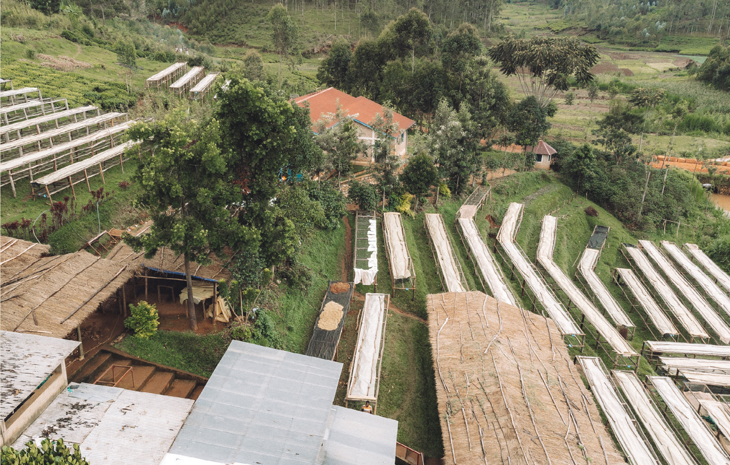 Burundi - Rubirizi Hill FW [Auction Lot]