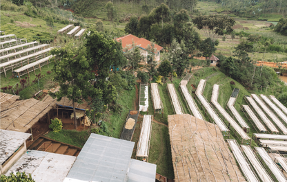 Burundi - Rubirizi Hill FW [Auction Lot]