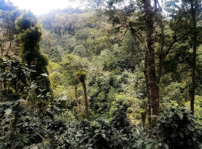 Nicaragua - Las Tres Hermanas Tekisic FW