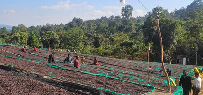 Ethiopia - Chelchele Espresso