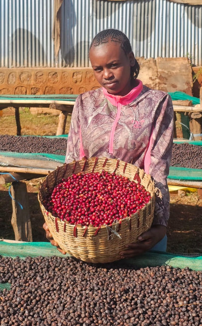 Ethiopia - Chelchele Espresso