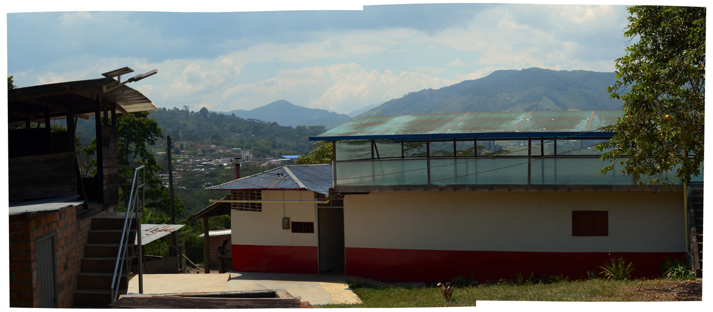 Colombia - Yoiner Mosquera's Gesha