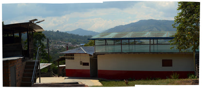 Colombia - Yoiner Mosquera's Gesha