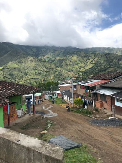 Colombia - Aponte Honey