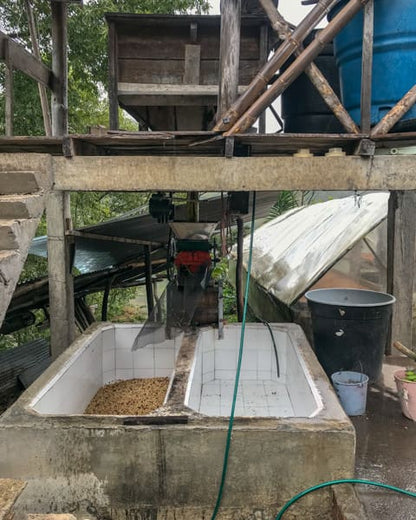Colombia - Aponte Honey