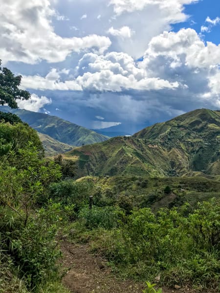 Colombia - Aponte Honey