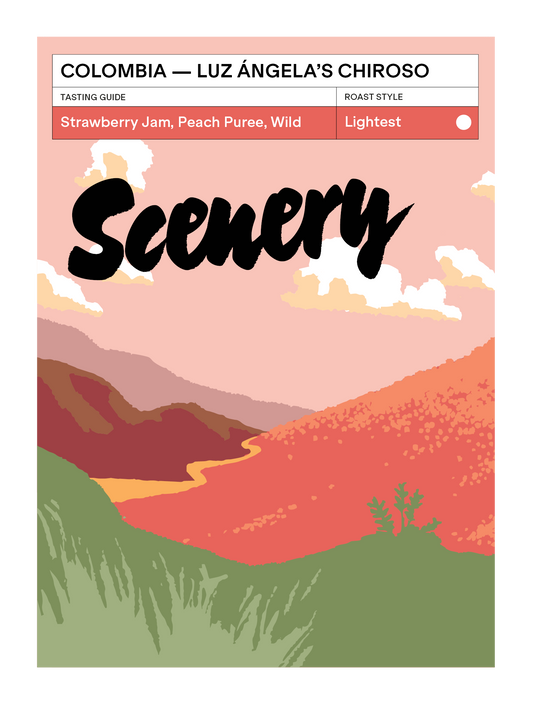 Colombia - Luz Ángela's Chiroso [25/26]