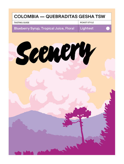 Colombia - Quebraditas Gesha Thermal Shock Washed [25/26]