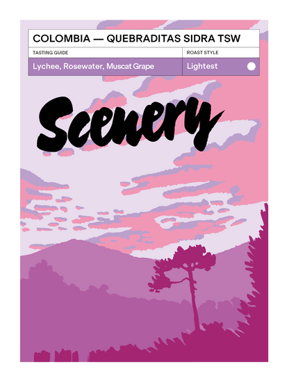 Colombia - Quebraditas Sidra Thermal Shock Washed [25/26]