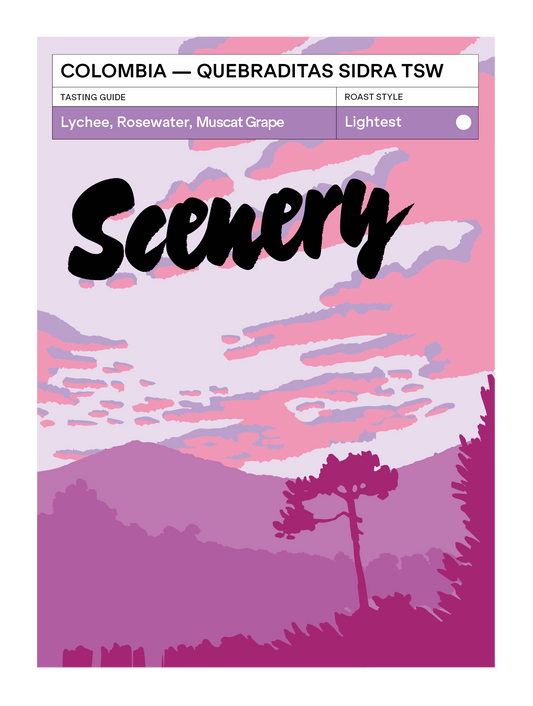 Colombia - Quebraditas Sidra Thermal Shock Washed [25/26]