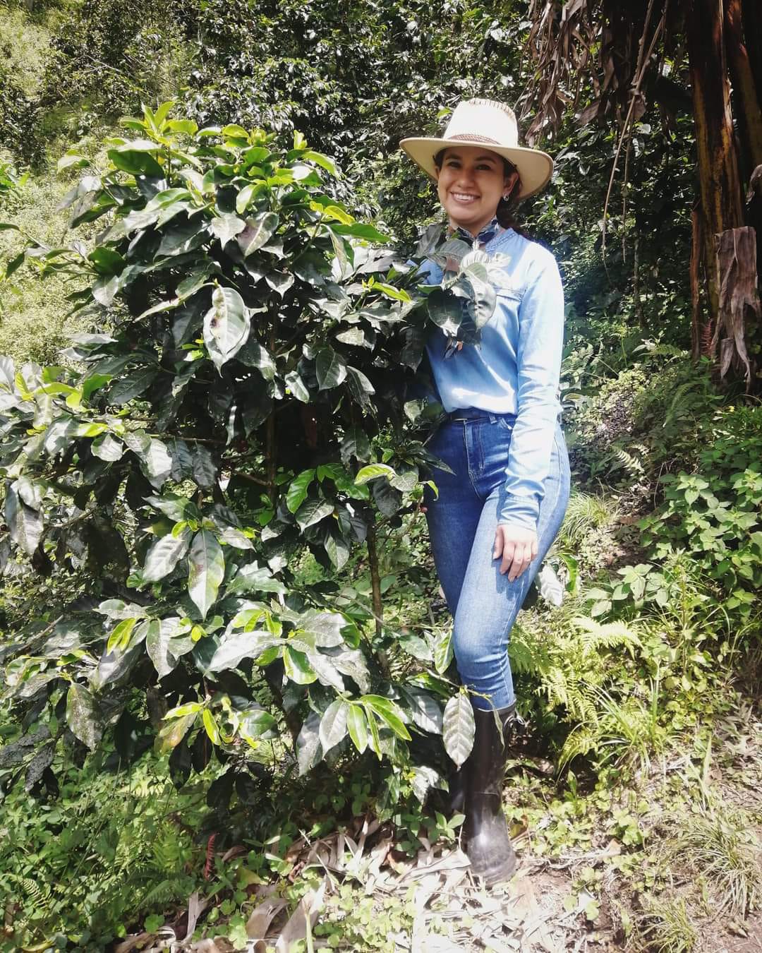 Nicaragua - Las Tres Hermanas Tekisic FW