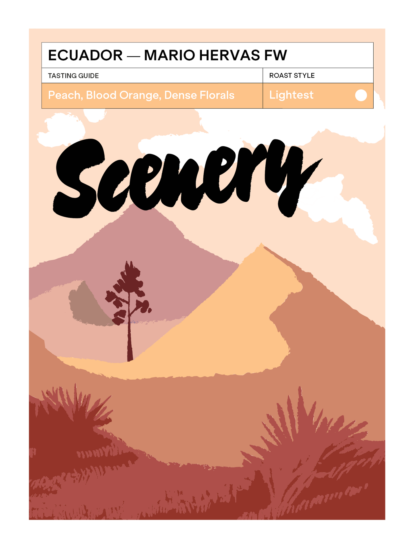 Ecuador - Mario Hervas' Mejorado FW [25/26]