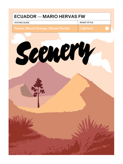 Ecuador - Mario Hervas' Mejorado FW [25/26]