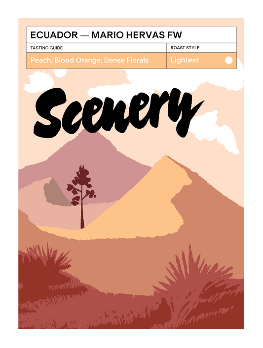 Ecuador - Mario Hervas' Mejorado FW [25/26]