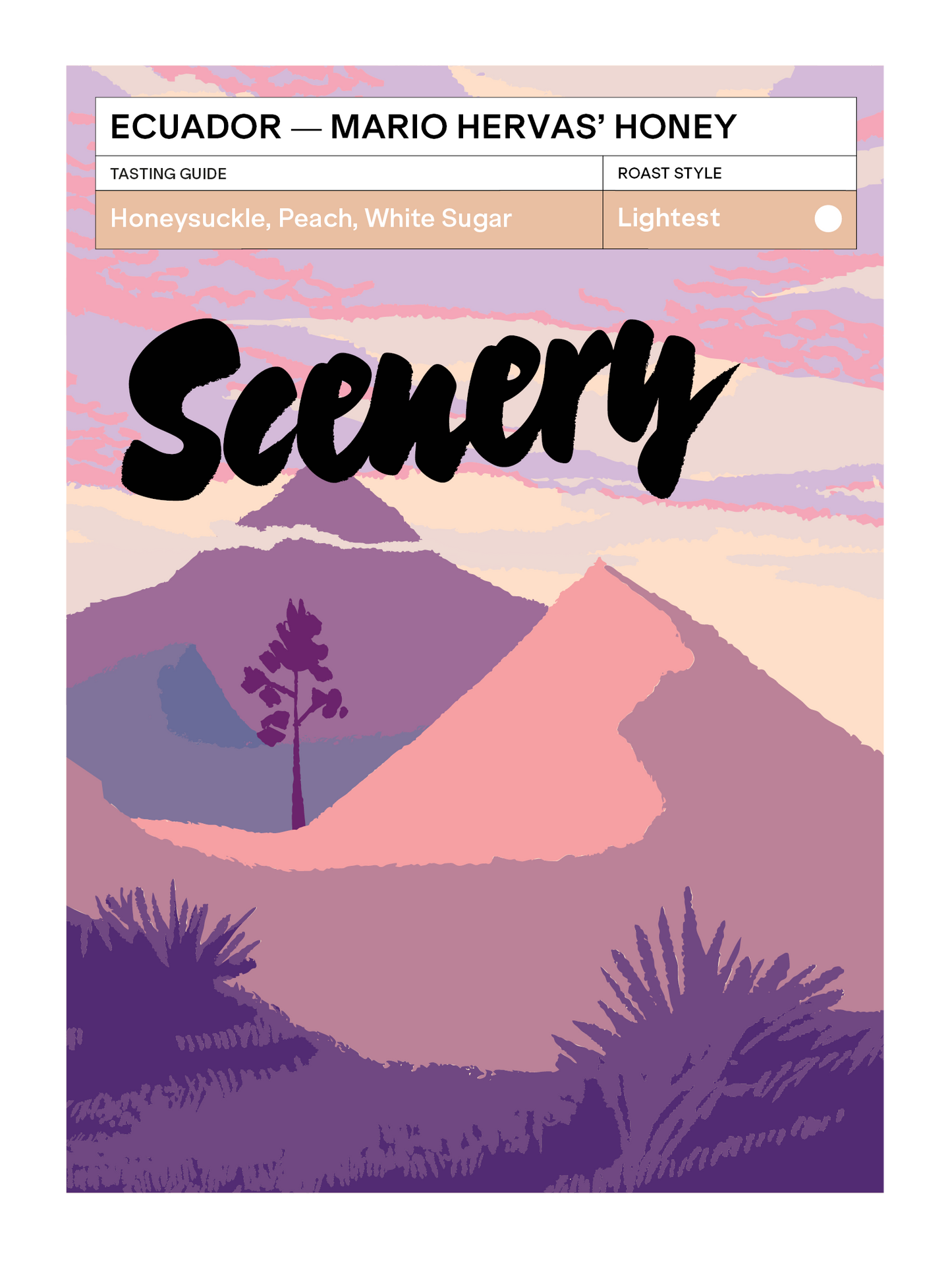 Ecuador - Mario Hervas' Honey [25/26]