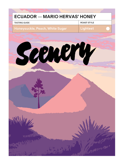 Ecuador - Mario Hervas' Honey [25/26]