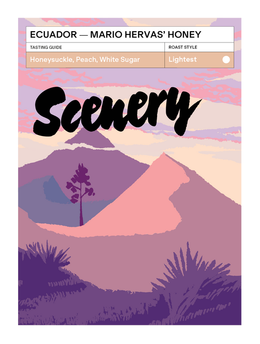 Ecuador - Mario Hervas' Honey [25/26]